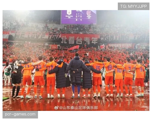 球迷组织介绍:主流足球球迷团体类型与支持文化解析 球迷组织介绍:主流足球球迷团体类型与支持文化解析